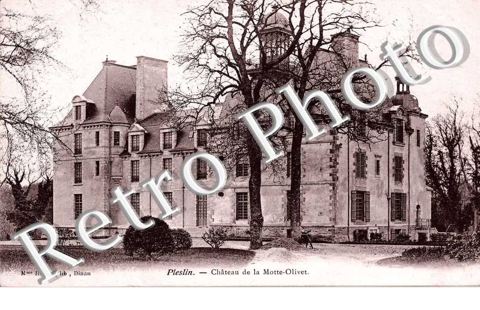 Chateau de la Motte-Olivet