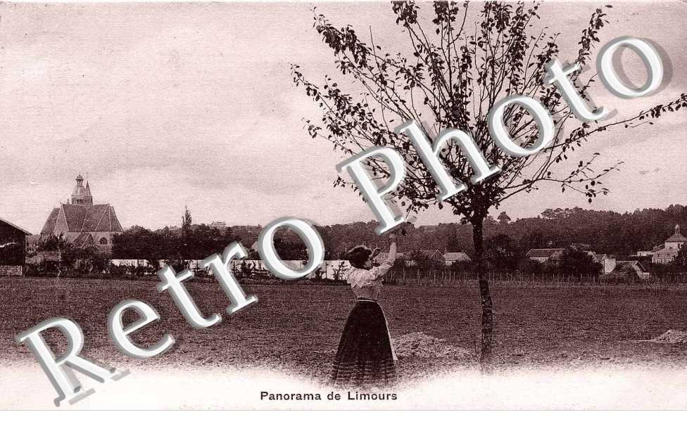 panorama