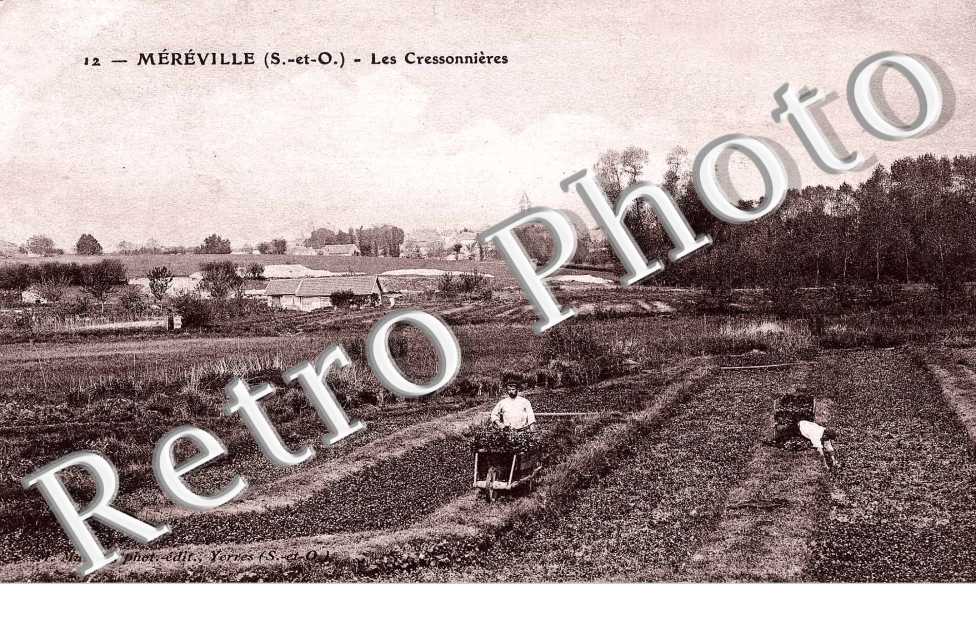 Les Cressonnieres