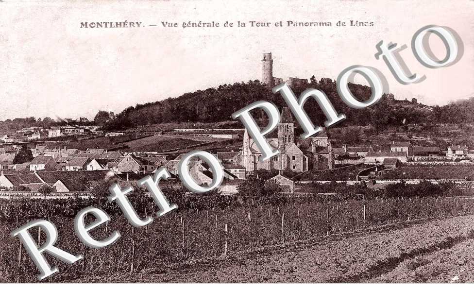 Vue générale de la Tour et Panorama de Linzs