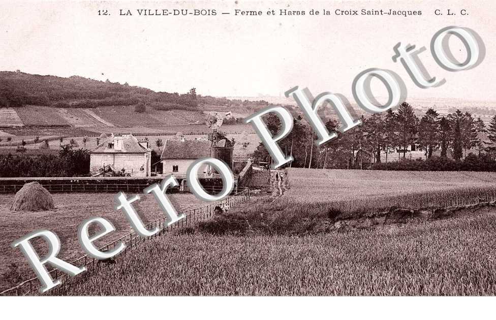 Ferme et Haras de la Croix Saint Jacques