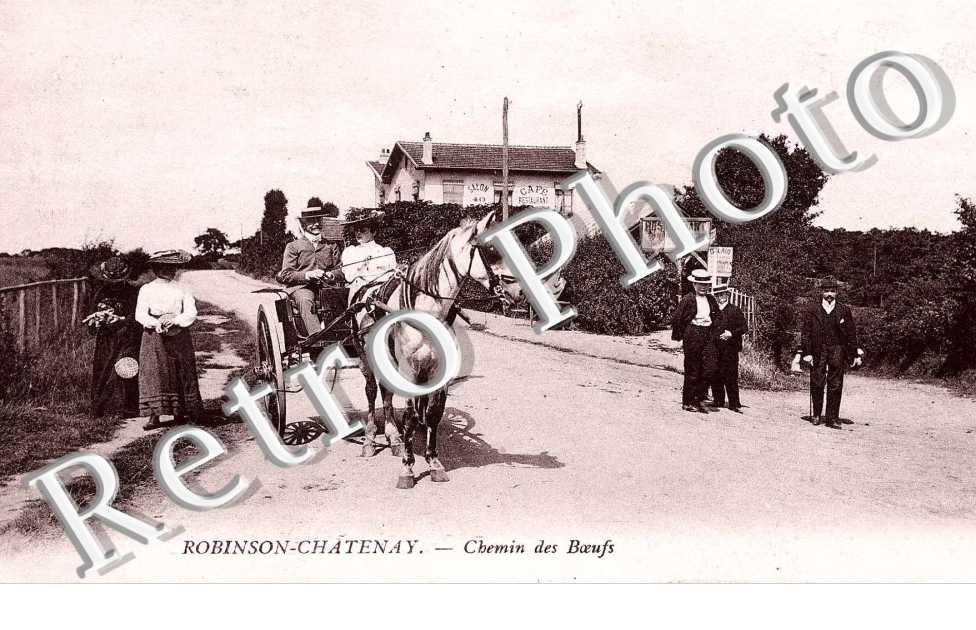ROBINSON-CHATENAY - Chemin des boeufs - attelage de cheval