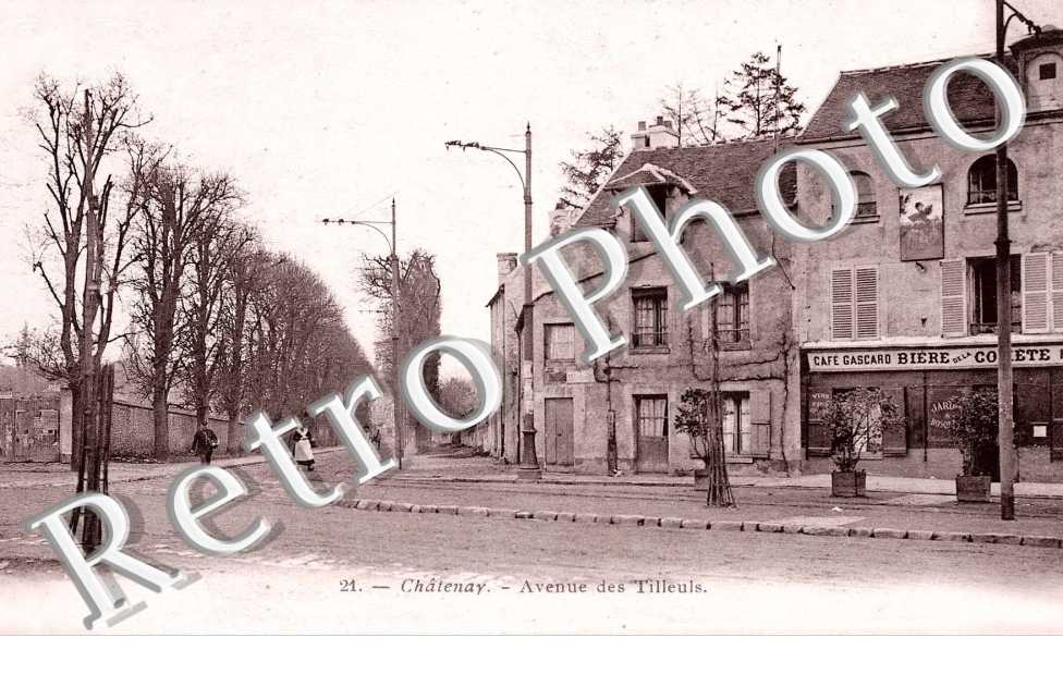 avenue des Tilleuls