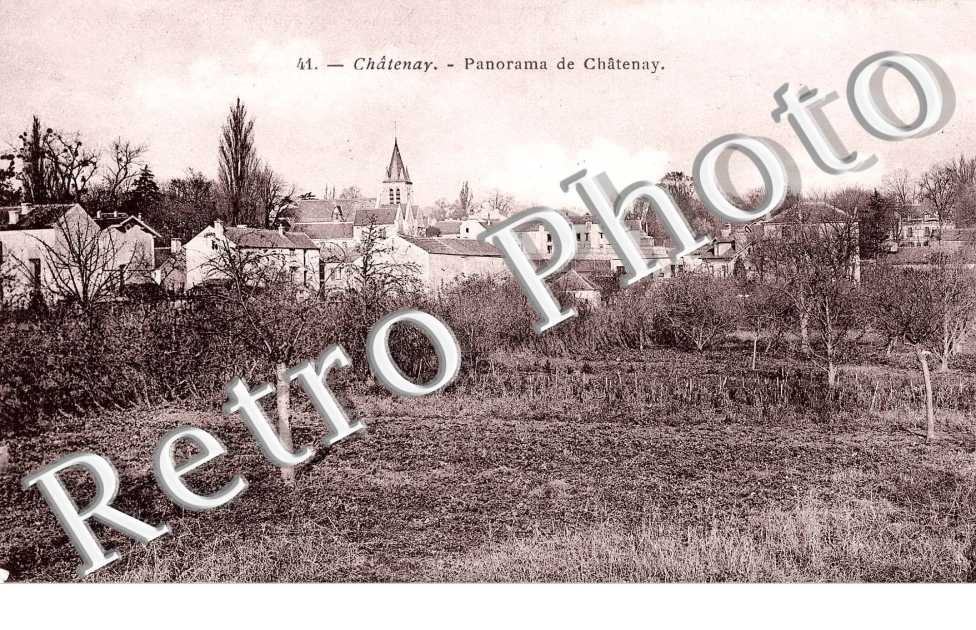 panorama