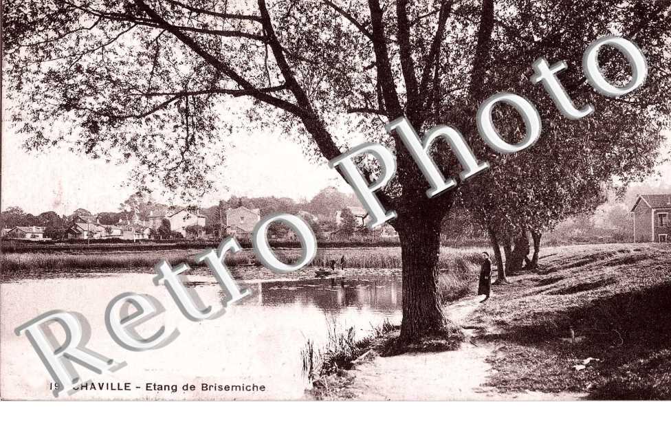 etang de Brisemiche