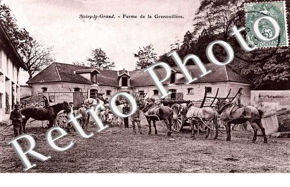 Ferme de la Grenouillere - elevage