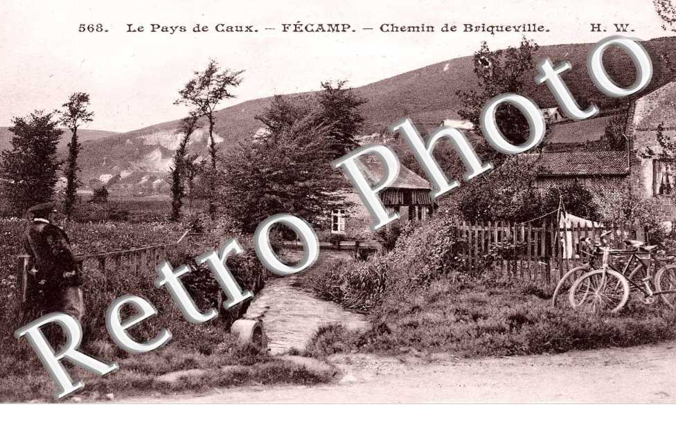 Le pays de Caux Chemin de Briqueville