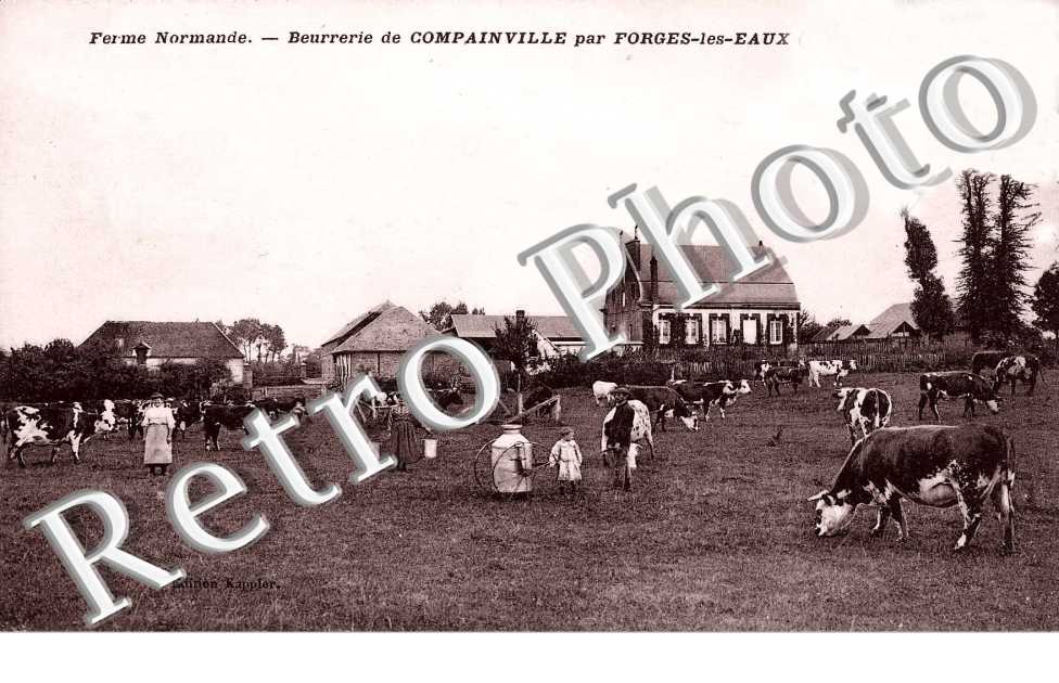 ferme normande, beurrerie de Compainville