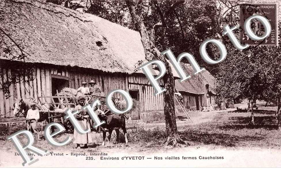 Nos vieilles fermes cauchoises