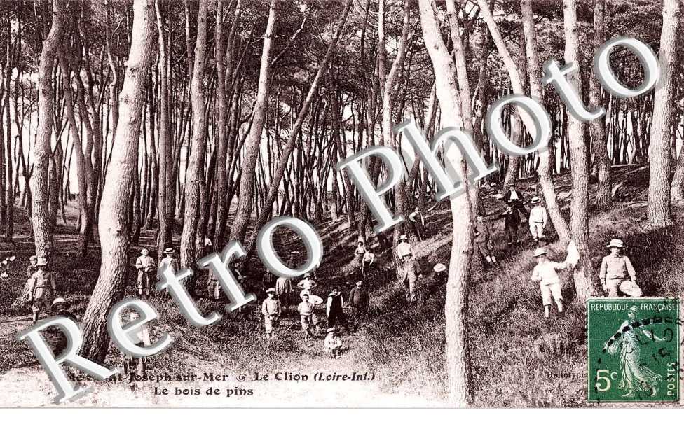 Le Clion - Le Bois de Pins