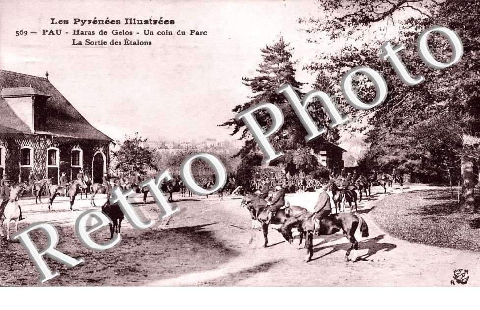 Haras de Gelos Un coin du parc La sortie des etalons