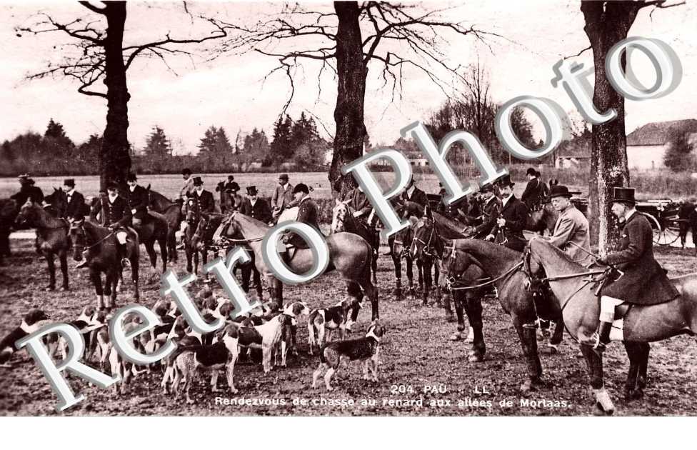 Rendez vous de Chasse au renard aux Allees de Moriaas
