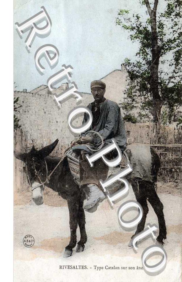 TYPE CATALAN SUR SON ANE