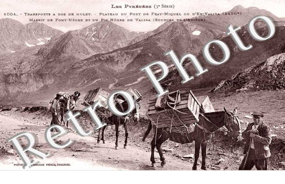 Transport à dos de Mulet -  Plateau du Port de Fray-Miquel ou d'En-Valiba Massif de Font Negre et du Pic Negre de Valira