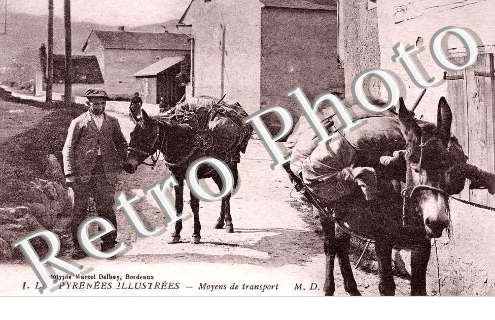 moyens de transport