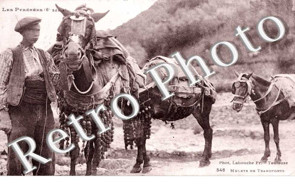 Mulets de Transports