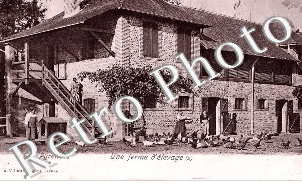 une ferme d&#039;elevage
