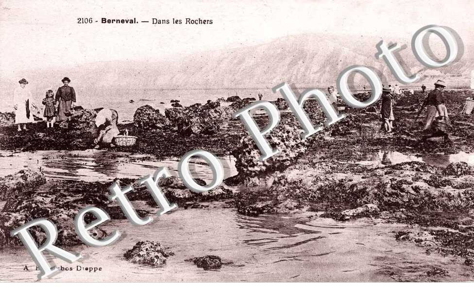 La plage et les rochers