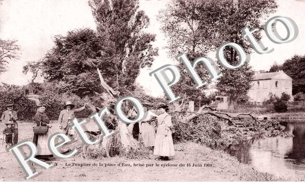 Le peuplier de la piece d&#039;eau brise par le cyclone du 16 juin 1908