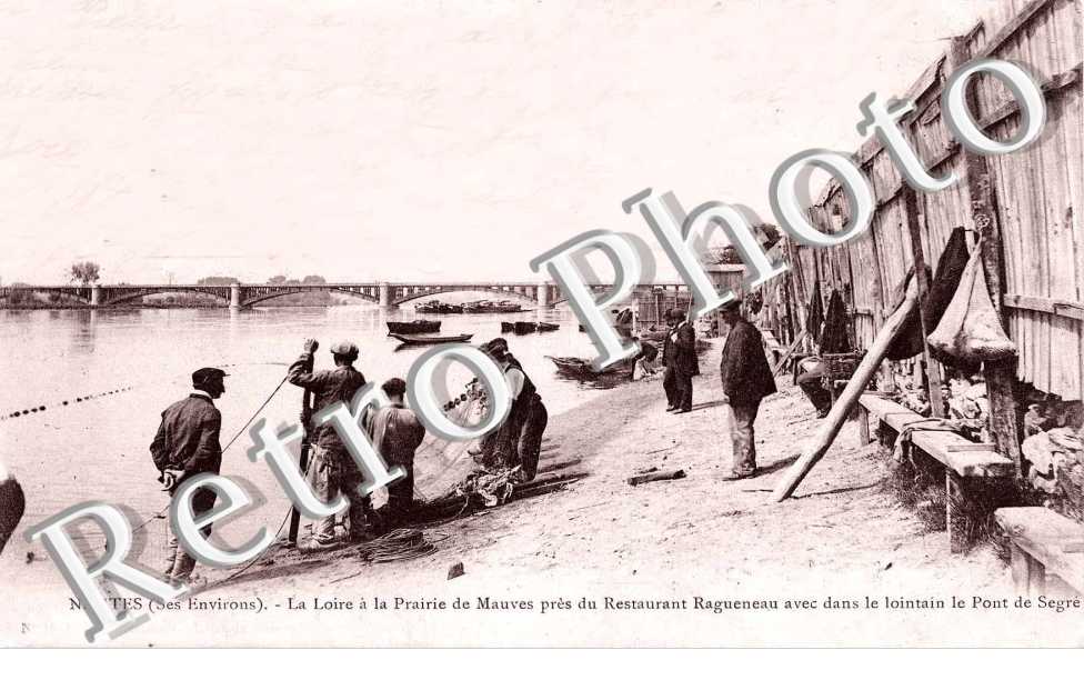 la Loire a la prairie de Mauves près du restaurant Ragueneau avec dans le lointain le Pont de Segré