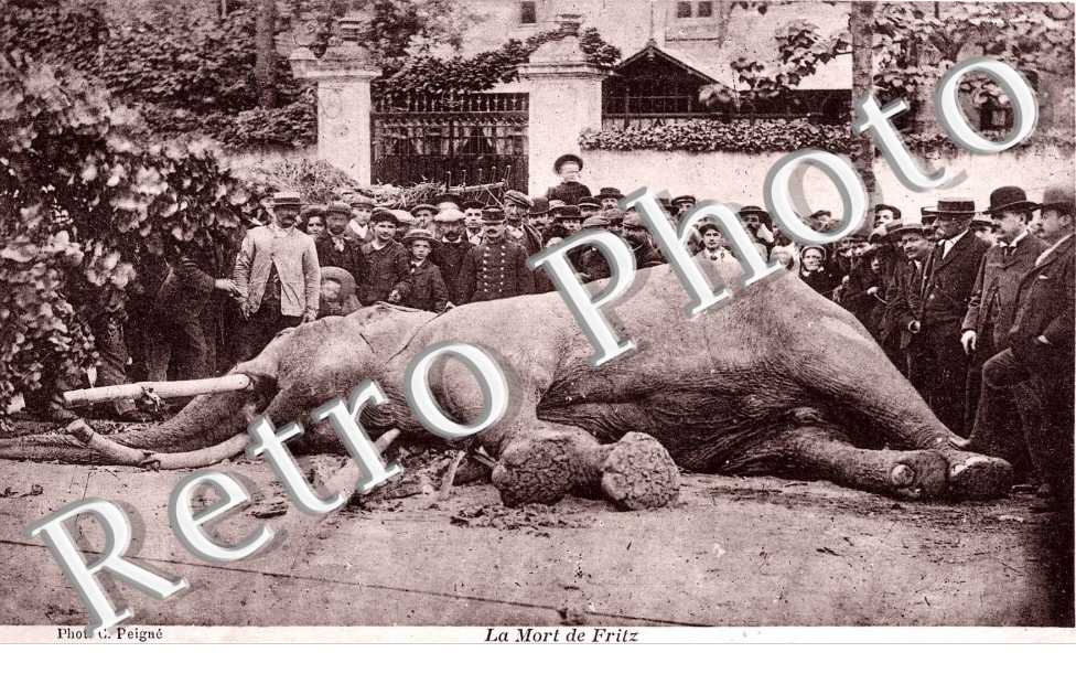la mort de Fritz