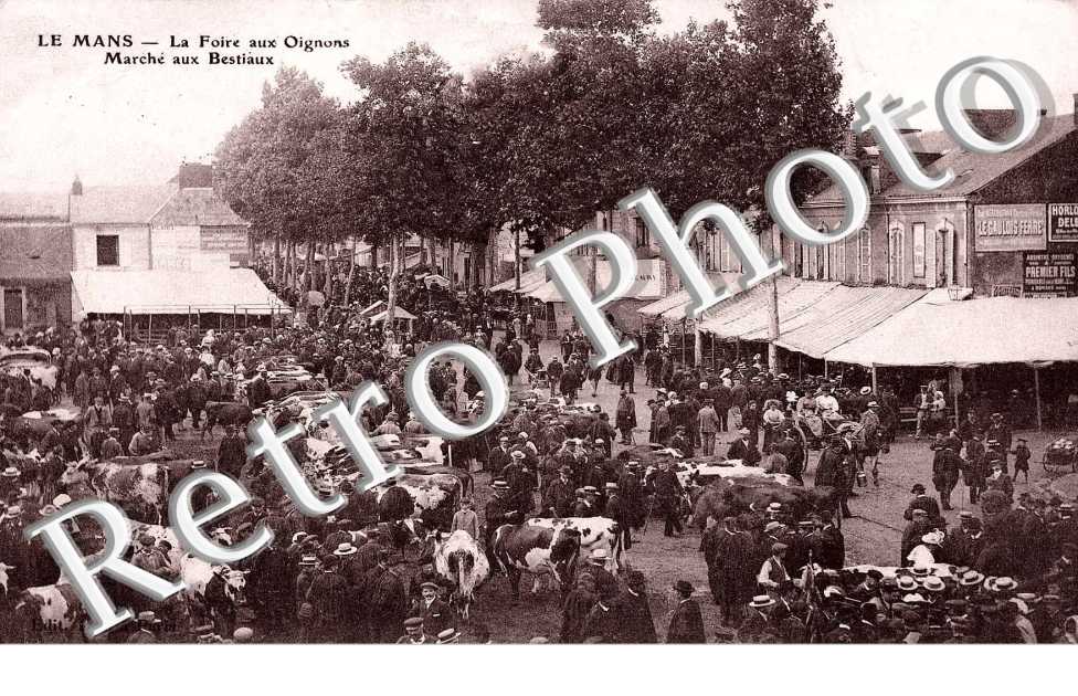 la foire aus oignons marche aux bestiaux