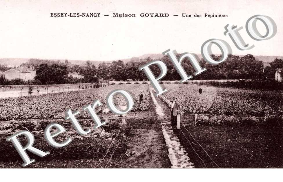 une des pepinieres