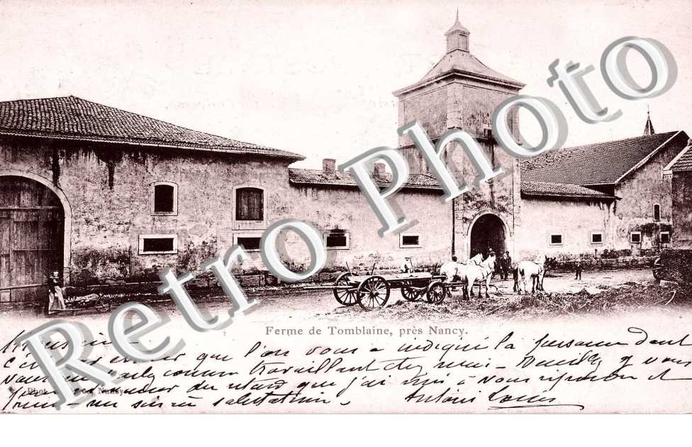 Ferme