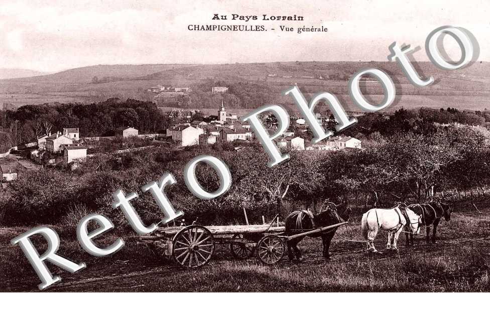 Vue générale