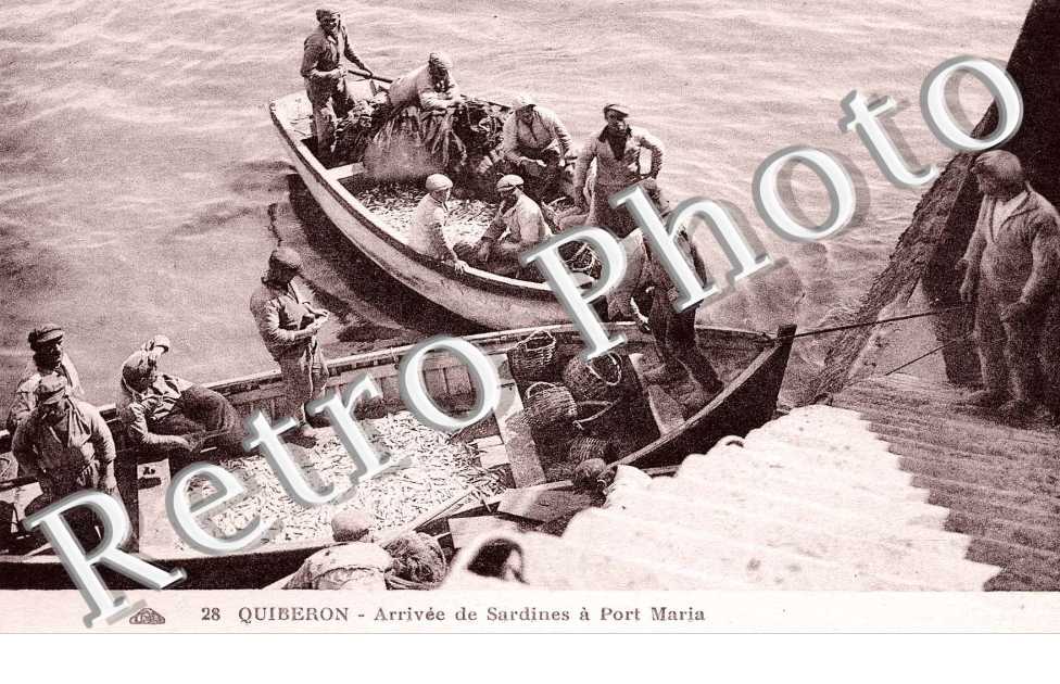 arrivee de sardines a Port Maria (PECHE)