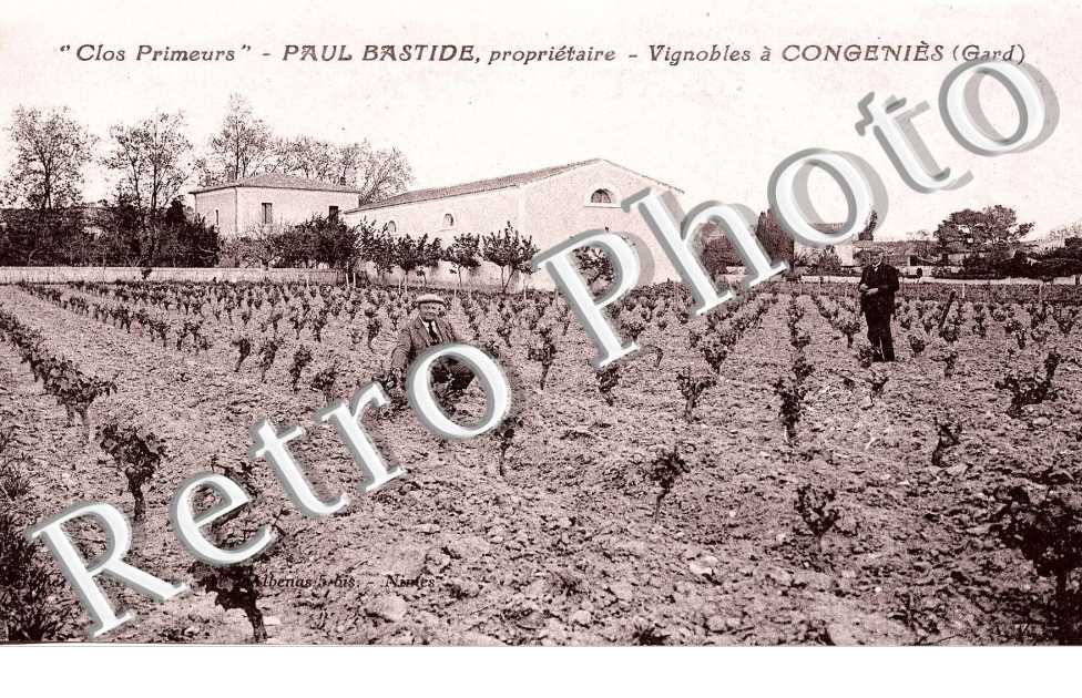 "Clos primeurs" - Paul Bastide proprietaire - vignobles