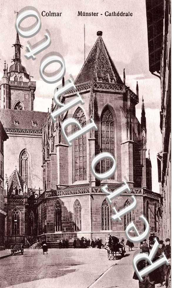 la Cathedrale