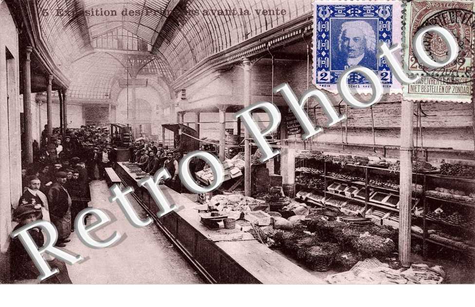 exposition des primeurs avant la vente