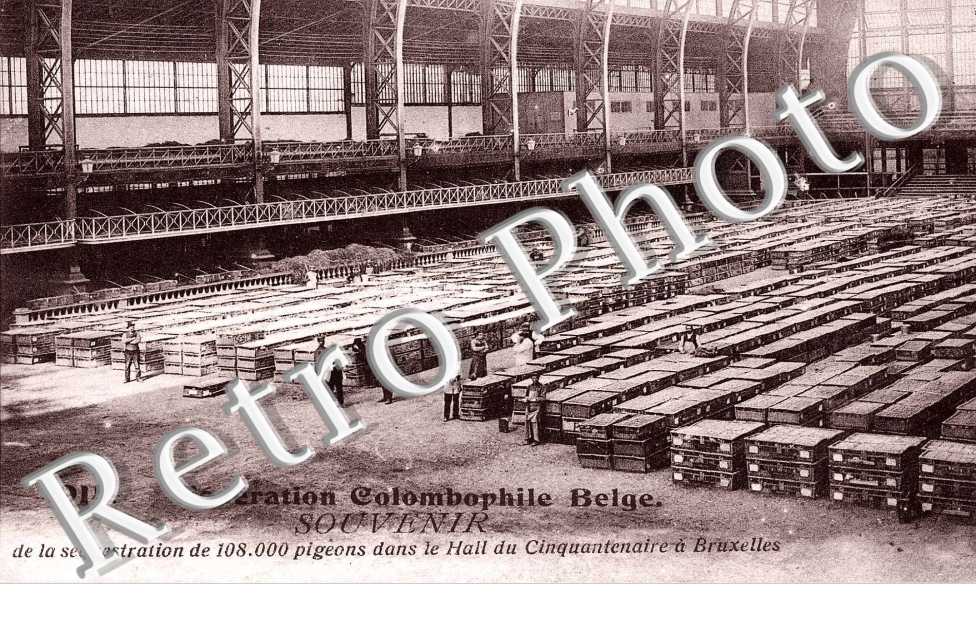 federation colombophile 1914
