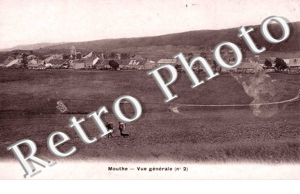 Vue générale 