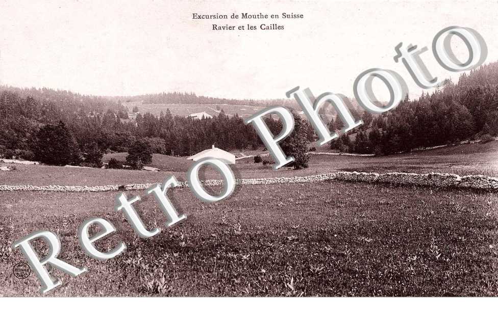 excursion de mouthe en suisse ravier et les cailles