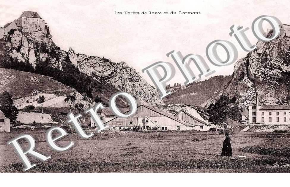 Les foret de joux et du larmont