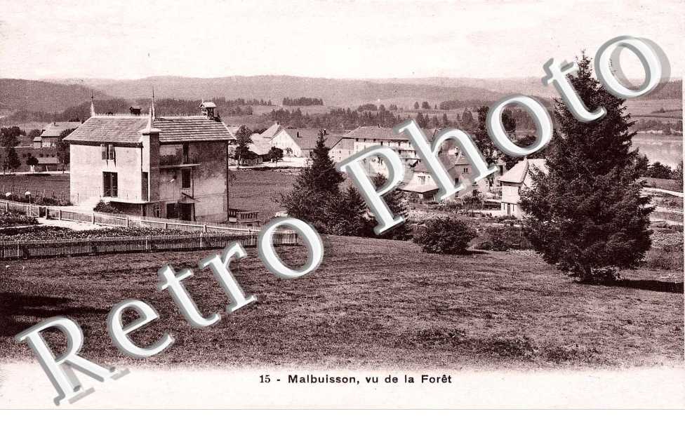 vu de la Foret