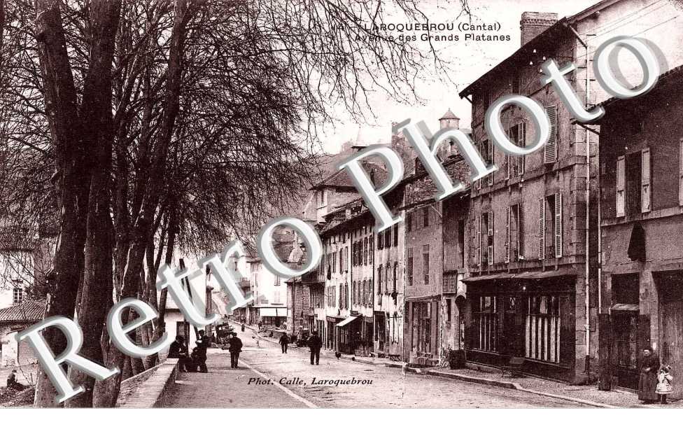 avenue des grands platanes