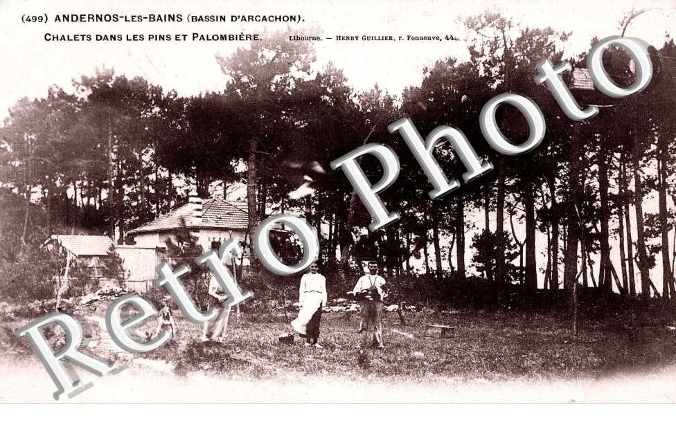 CHALETS DANS LES PINS