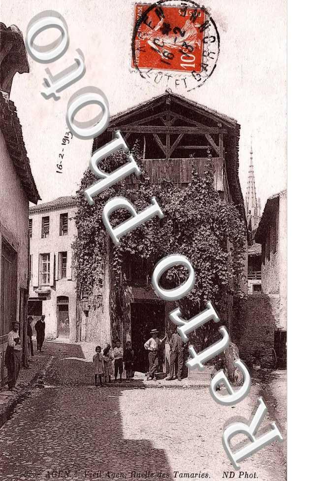ruelle des Tamaris