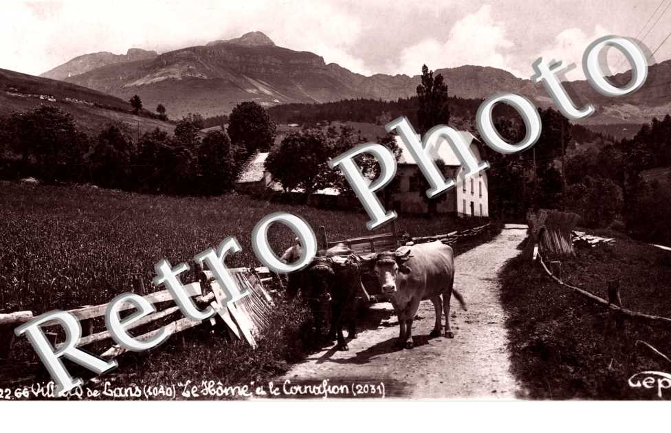 LE HOME ET LE CORNAFION