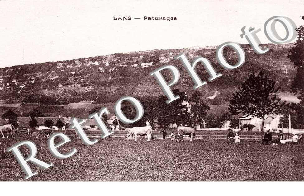paturages