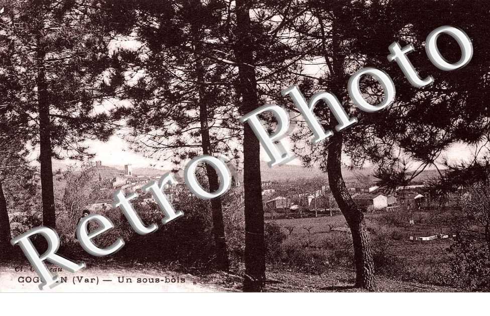 Un sous-bois