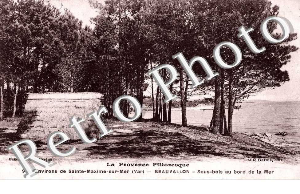 Beauvallon sur Mer, Sous Bois au bord de la Mer
