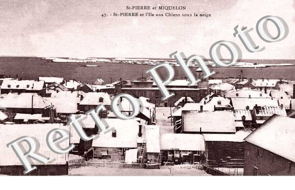 Ile aux Chiens sous la neige
