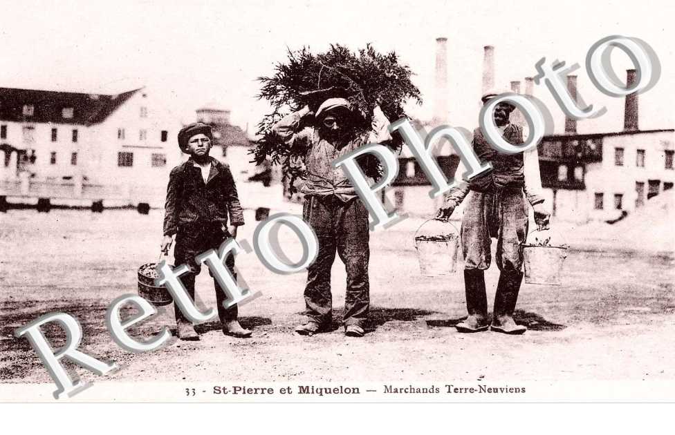 MARCHANDS TERRE-NEUVIENS  (Briand)