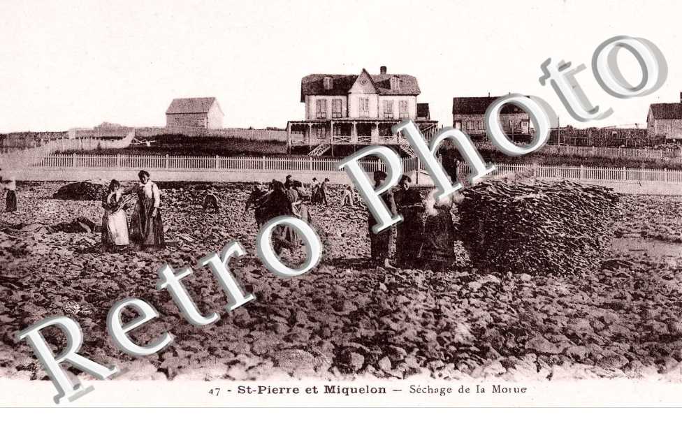SECHAGE DE LA MORUE