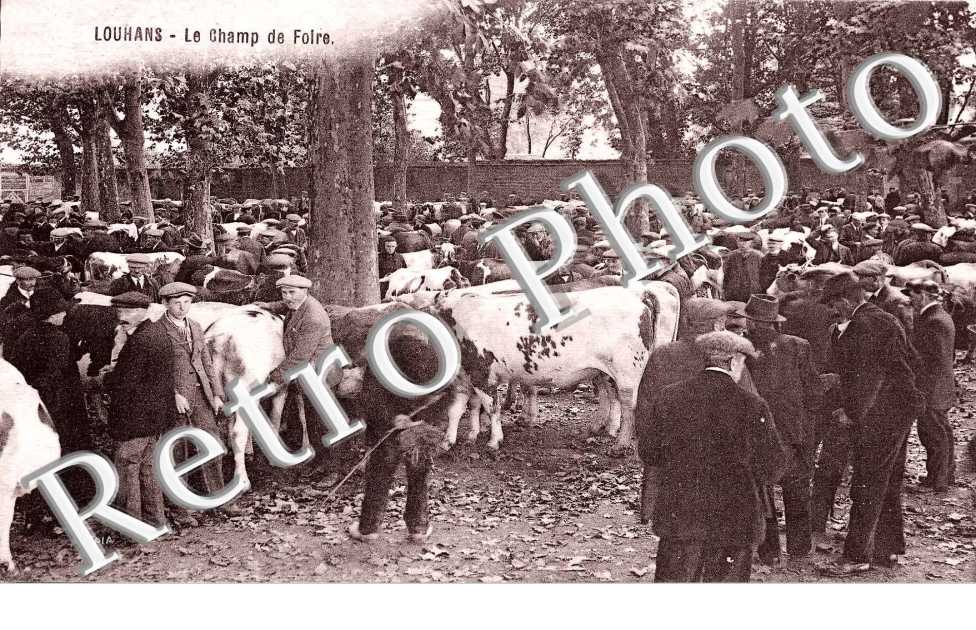 Le champ de foire (betail)