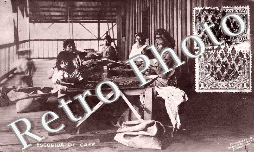 Escogida de Cafe